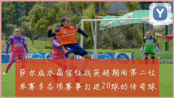 萨尔成水晶宫征战英超期间第二位单赛季各项赛事打进20球的传奇球员