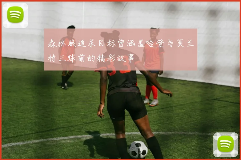 森林狼追求目标曾涵盖哈登与莫兰特三球前的精彩故事